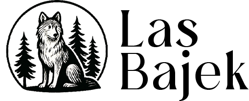 LasBajek.pl